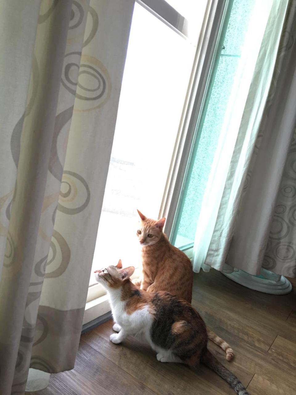 Beauty Home Homestay เมืองฮวาเหลียน ภายนอก รูปภาพ